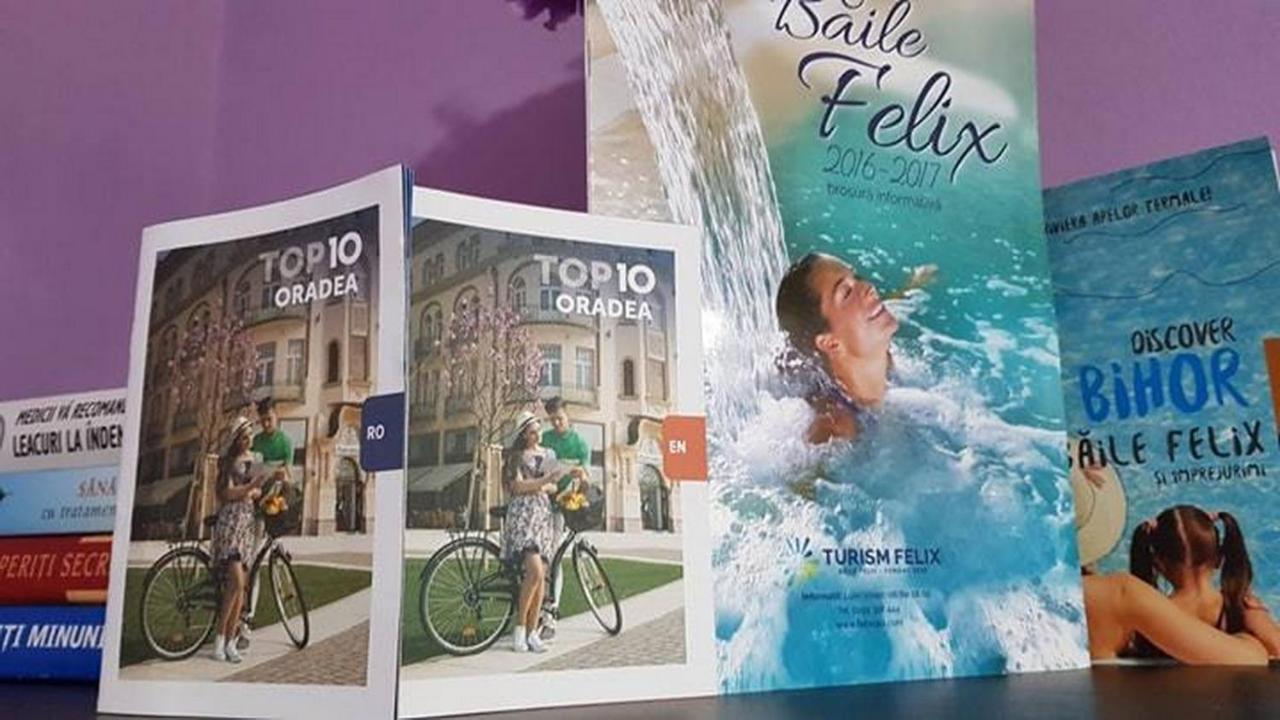 شقة Garsoniera Cristina Băile Felix المظهر الخارجي الصورة