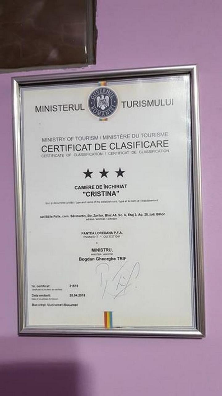 شقة Garsoniera Cristina Băile Felix المظهر الخارجي الصورة